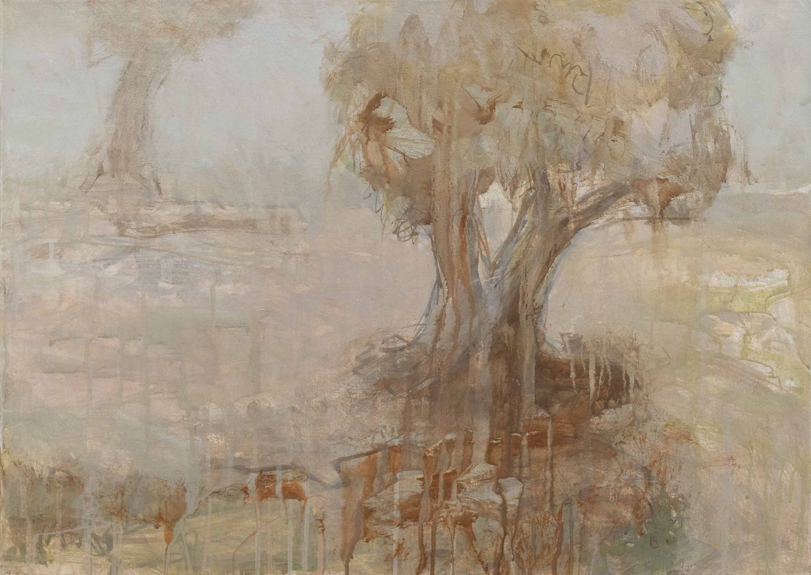 Nr. 2020-05, Olivenhain, 2020, Öl auf Leinwand, 50 x 70 cm